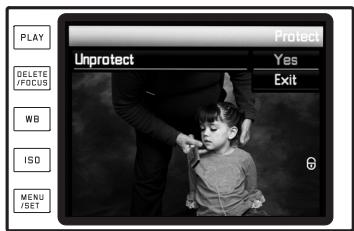 LEICA M TYPE 246 - Kies in het menu de optie Protect (Beveiligigen) - 3