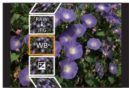 PANASONIC LUMIX DC-G91 - MENU → ▶ [Playback] → [RAW Processing] - 1