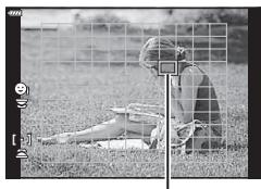 OLYMPUS OM-D E-M1 - (Point cible AF) - 1