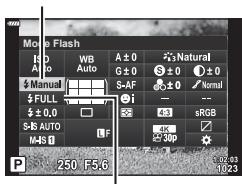 OLYMPUS PEN-F - (Mode Flash) - 2