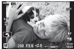OLYMPUS PEN-F - Réglez l'ouverture et la vitesse d'obturation. - 1