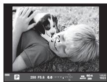 OLYMPUS PEN-F - MENU → ⚙ → ⏻ → [Viseur électronique] - 1