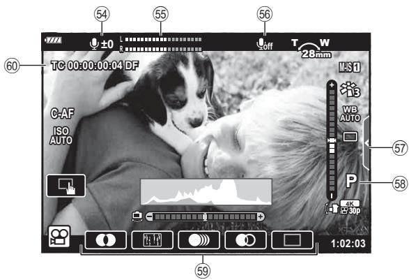 OLYMPUS OM-D E-M1X - Affichage d'informations pendant la prise de vue - 2