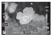 OLYMPUS OM-D E-M1X - Priorité Visage AF/Priorité Regard AF - 6