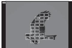 OLYMPUS OM-D E-M1X - Toutes les cibles (11× 11) - 3