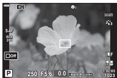 OLYMPUS OM-D E-M1X - Priorité Visage AF/Priorité Regard AF - 11