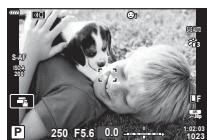 OLYMPUS OM-D E-M1X - Super panneau de commande LV (photographie Live View) - 1