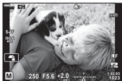 OLYMPUS OM-D E-M1X - Utilisation de la compensation de l'exposition en mode M - 1