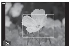 OLYMPUS OM-D E-M1X - Priorité Visage AF/Priorité Regard AF - 12