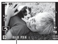 OLYMPUS OM-D E-M1X - Photographie « Time » et « Live TIME » - 2