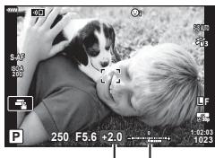 OLYMPUS OM-D E-M1X - Accès via le bouton (Compensation de l'exposition) - 1