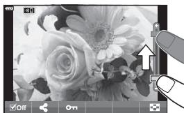 OLYMPUS OM-D E-M1X - Gros plan - 1