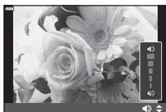 OLYMPUS OM-D E-M1X - ■ Lecture audio - 1