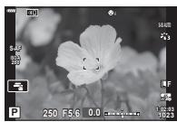 OLYMPUS OM-D E-M1X - Priorité Visage AF/Priorité Regard AF - 4