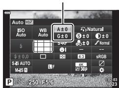 OLYMPUS OM-D E-M1X - wb AUTO Couleurchaude - 1