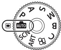 OLYMPUS OM-D E-M1X - Prenez des photos. - 1