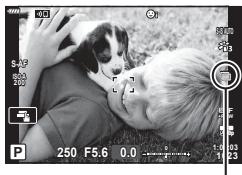 OLYMPUS OM-D E-M1X - Prise de photos fixes avec une résolution plus élevé - 1