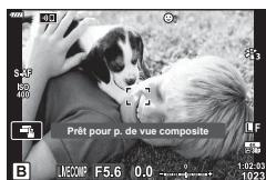 OLYMPUS OM-D E-M1X - Éclairir la composition (B: Photographie Composite en direct) - 4