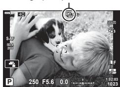 OLYMPUS OM-D E-M1X - (Prise de vue par intervalles) - 2