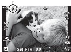 OLYMPUS OM-D E-M1X - Capture Pro H (ProcapH) - 1