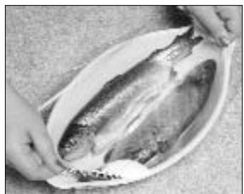 PANASONIC NN-J161M - Poissons - 2