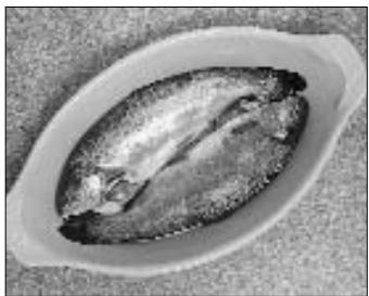 PANASONIC NN-E221M - Fisch - 3