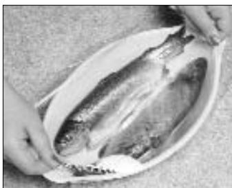 PANASONIC NN-E221M - Poissons - 2