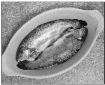 PANASONIC NN-E221M - Fish - 3