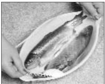 PANASONIC NN-S251W - Fisch - 2