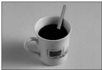 PANASONIC NN-S251W - Zasady og Ine - 11