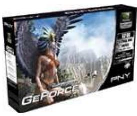 PNY GEFORCE 6200 - PRODUCTS - 1