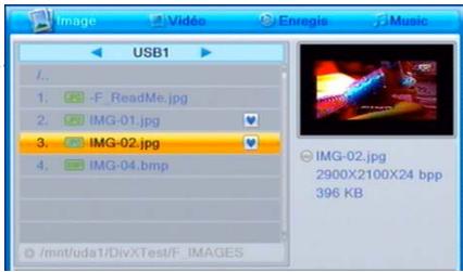 USB1 F. ReadMe.jpg IMG-01.jpg IMG-02.jpg IMG-04.bmp /mnt/uda1/DivXTest/F IMAGES IMG-02.jpg 2900X2100X24 bpp 396 KB