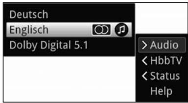 TECHNISAT TECHNICORDER ISIO SC  -  TECHNICORDER ISIO STC - Selecting a different language / sound option - 1