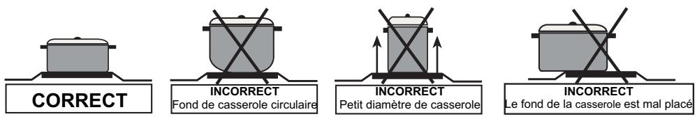 GERMANIA SM61DFN - SM61DFX - Utilisation des plaques chauffantes - 2