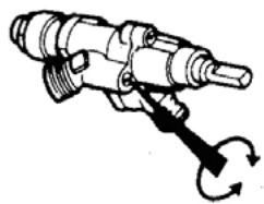 LOFRA M76GV/C - TRASFORMAZIONE DEL GAS SUI BRUCIATORI DEL PIANO - 2