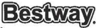 BESTWAY HAWAII - INFORMATIONS REQUISES - VEUILLEZ ÉCRIRE L'ADRESSE DE LIVRAISON - 4