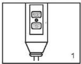 BESTWAY PALM SPRING - PRCD Test - 1
