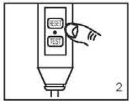 BESTWAY PALM SPRING - Teste PRCD - 2