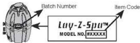 BESTWAY PALM SPRING - REQUIRED INFORMATION - PLEASE WRITE THE SHIPPING ADDRESS - 1