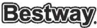 BESTWAY PALM SPRING - REQUIRED INFORMATION - PLEASE WRITE THE SHIPPING ADDRESS - 4