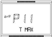 T MAX
