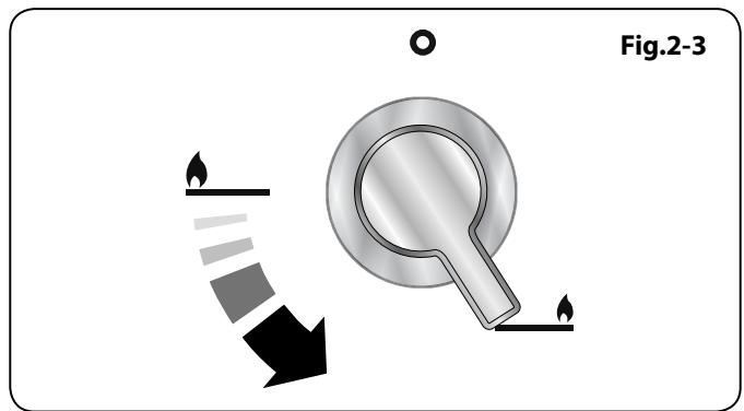 FALCON EDL90EIIV - Wok Burner - 1