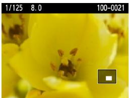 CANON EOS 90D - Agrandissez l'image. - 2