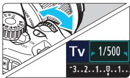 CANON EOS 90D - Tv : Scènes d'action - 2