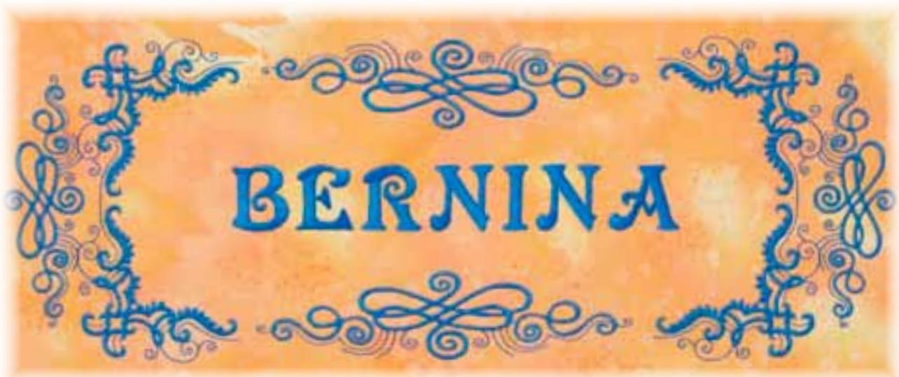 BERNINA 335 - Positionner - 2