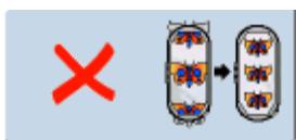 BERNINA 335 - Affichage de la dimension du motif - 6