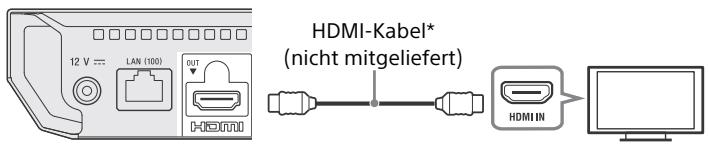 SONY BRP 1100 - Anschließen an Ihr Fernsehgerät - 1
