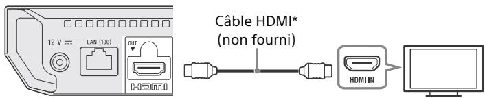 SONY BRP 1100 - Raccordement à votre téléviseur - 1