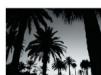 MARANTZ DV 3002 - Use the ▲/▼ keys to select one of the following options and press ENTER. - 3