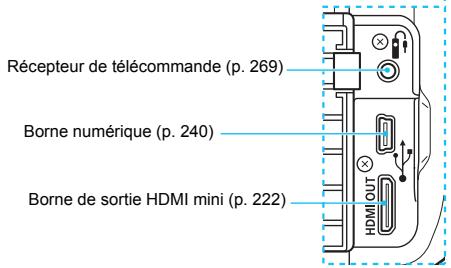 CANON EOS 77D - Nomenclature - 3